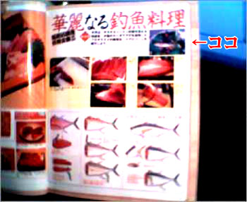 cut08