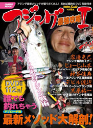 2011Ajing2