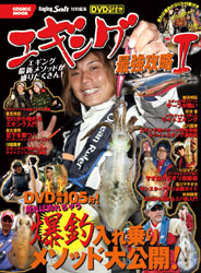 2011eging2