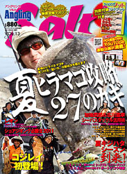 Ansal13