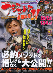 2013aji4
