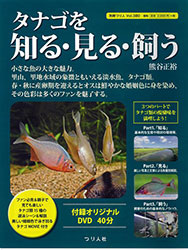 1407tanago