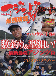 2004ajing12