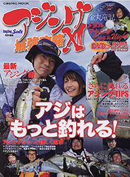 2010aji13